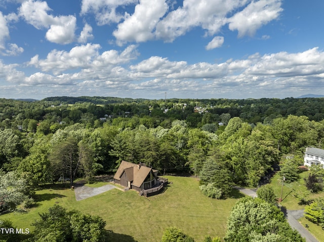 505 Duel Ln, Jonesborough, TN 37659 - bird's eye view of a forest