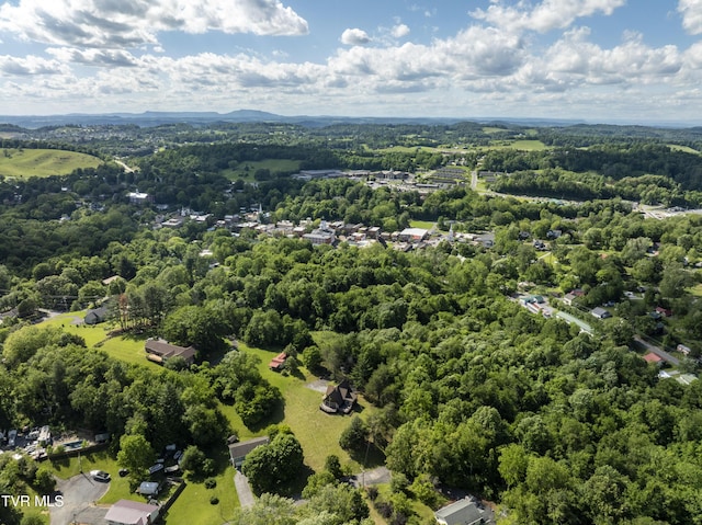 505 Duel Ln, Jonesborough, TN 37659 - bird's eye view of a forest