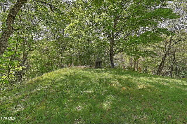 3851 Helen Henderson Hwy, Davenport, VA 24239 - view of yard with a wooded view