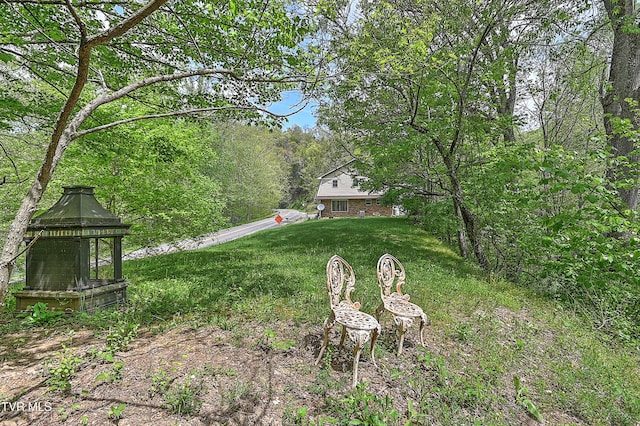 3851 Helen Henderson Hwy, Davenport, VA 24239 - view of yard