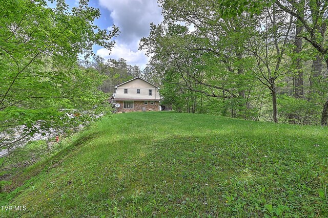 3851 Helen Henderson Hwy, Davenport, VA 24239 - view of yard featuring a forest view