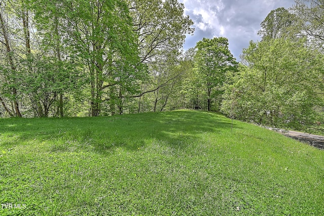 3851 Helen Henderson Hwy, Davenport, VA 24239 - view of yard