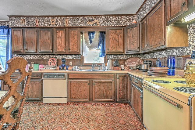 3851 Helen Henderson Hwy, Davenport, VA 24239 - kitchen featuring light countertops, white range with electric stovetop, a healthy amount of sunlight, and dishwashing machine