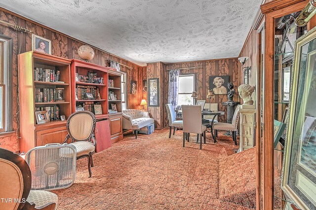 3851 Helen Henderson Hwy, Davenport, VA 24239 - living area with carpet floors, wood walls, and a textured ceiling