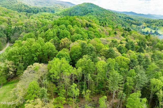 aerial view with a view of trees and a mountain view