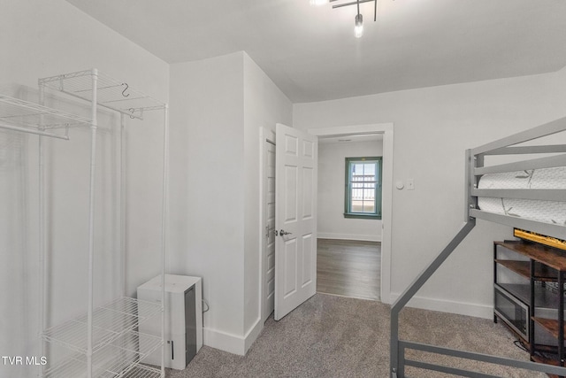 1607 E Millard St, Johnson City, TN 37601 - walk in closet with carpet floors