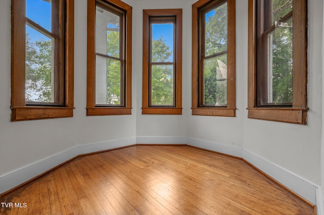 243 NW Mason Pl, Abingdon, VA 24210 - spare room with baseboards and light wood-type flooring