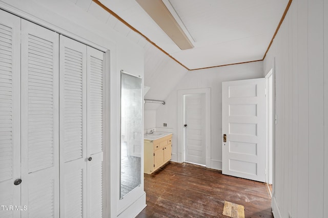 243 NW Mason Pl, Abingdon, VA 24210 - interior space with a closet, vaulted ceiling, hardwood / wood-style flooring, and vanity