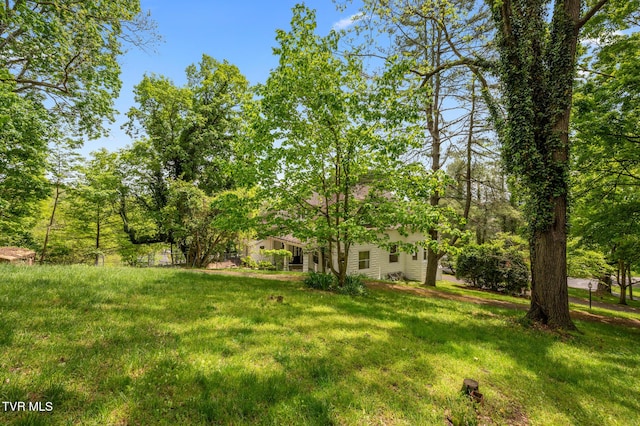 243 NW Mason Pl, Abingdon, VA 24210 - view of yard
