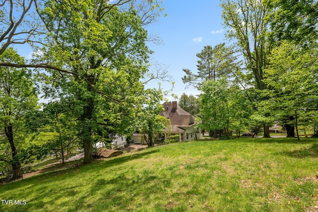 243 NW Mason Pl, Abingdon, VA 24210 - view of yard