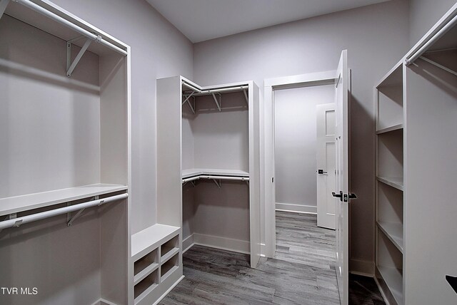 walk in closet featuring wood finished floors