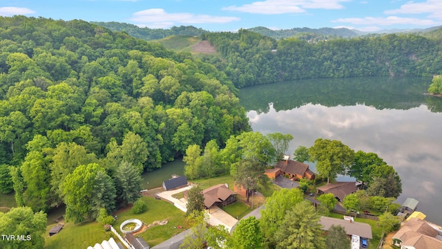 3749 Hemlock Park Cir, Kingsport, TN 37663 - bird's eye view featuring a view of trees and a water and mountain view