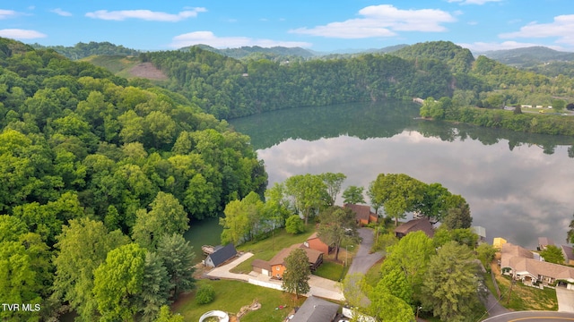 3749 Hemlock Park Cir, Kingsport, TN 37663 - aerial view featuring a forest view and a water and mountain view