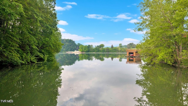 3749 Hemlock Park Cir, Kingsport, TN 37663 - property view of water featuring a wooded view