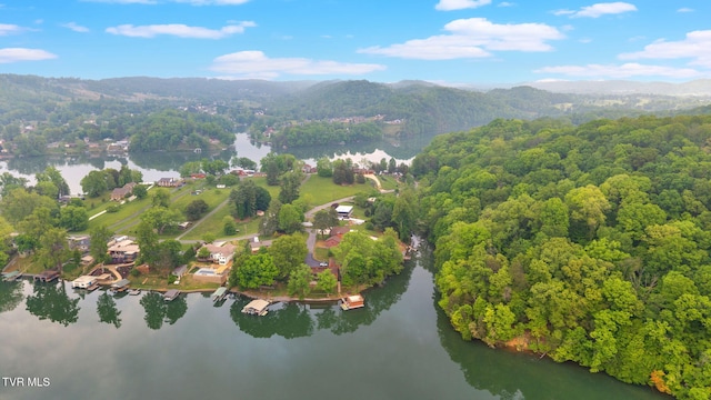 3749 Hemlock Park Cir, Kingsport, TN 37663 - bird's eye view with a water and mountain view and a wooded view