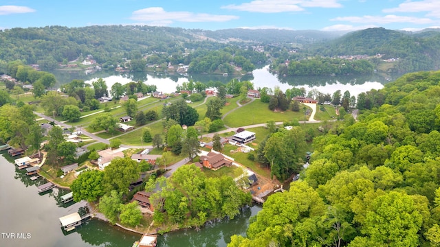 3749 Hemlock Park Cir, Kingsport, TN 37663 - aerial view featuring a water and mountain view and a forest view