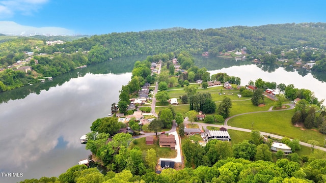 3749 Hemlock Park Cir, Kingsport, TN 37663 - aerial view featuring a water view and a forest view