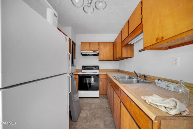 3749 Hemlock Park Cir, Kingsport, TN 37663 - kitchen featuring freestanding refrigerator, range with electric stovetop, light countertops, under cabinet range hood, and a sink