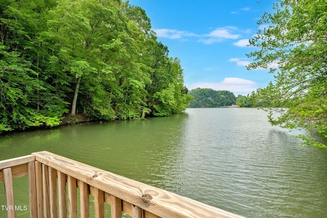 3749 Hemlock Park Cir, Kingsport, TN 37663 - view of water feature