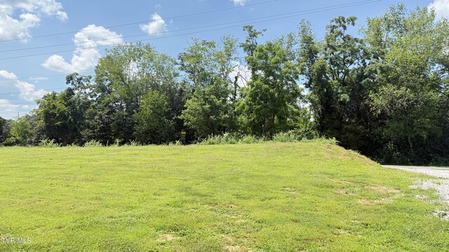 16618 Singingwood, Bristol, VA 24202 - photo 32