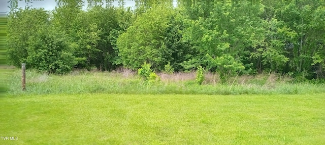 2160 Whirlwind Rd, Greeneville, TN 37743 - view of nature
