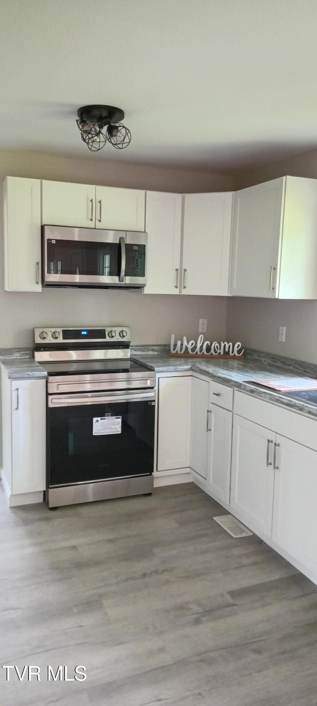 2160 Whirlwind Rd, Greeneville, TN 37743 - kitchen featuring white cabinetry, light wood-style flooring, appliances with stainless steel finishes, and a sink