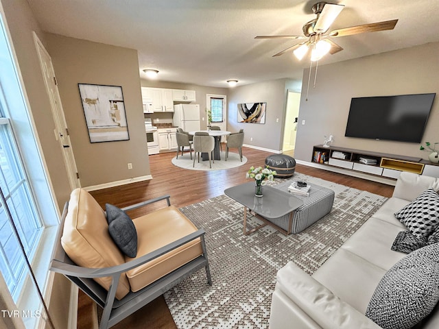 608 Walnut St, Elizabethton, TN 37643 - living area featuring wood finished floors, baseboards, and a ceiling fan