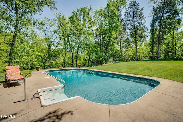 295 Southwood Dr, Kingsport, TN 37664 - photo 56