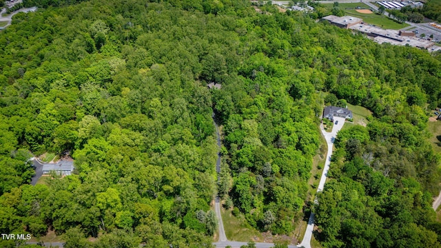 295 Southwood Dr, Kingsport, TN 37664 - photo 58