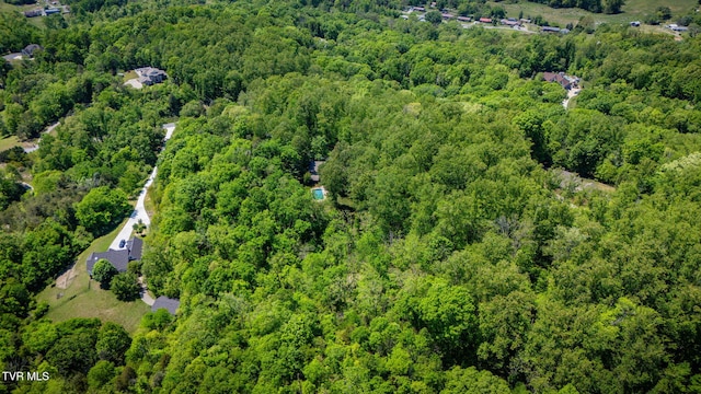 295 Southwood Dr, Kingsport, TN 37664 - photo 60