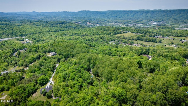 295 Southwood Dr, Kingsport, TN 37664 - photo 61