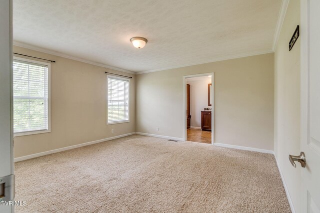 474 Thornburg Rd, Fall Branch, TN 37656 - photo 20