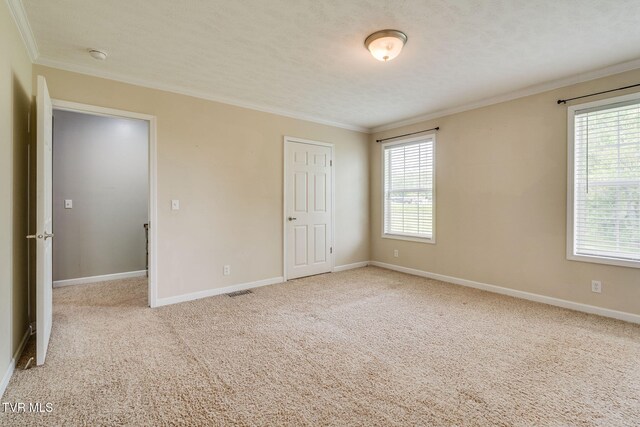 474 Thornburg Rd, Fall Branch, TN 37656 - photo 21
