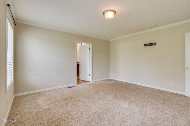 474 Thornburg Rd, Fall Branch, TN 37656 - photo 22