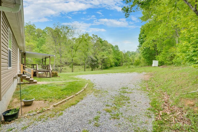 474 Thornburg Rd, Fall Branch, TN 37656 - photo 32