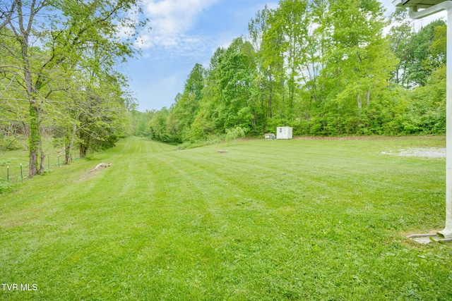 474 Thornburg Rd, Fall Branch, TN 37656 - photo 36