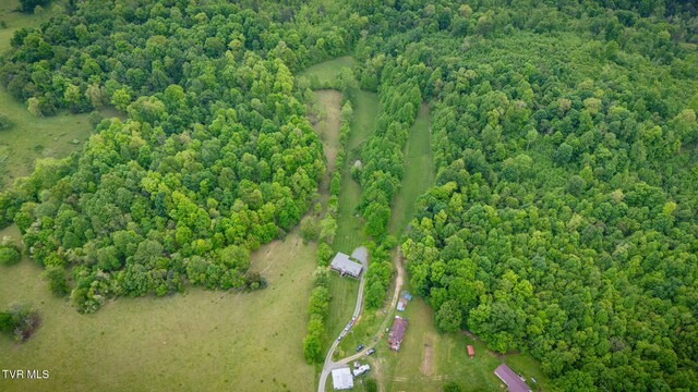 474 Thornburg Rd, Fall Branch, TN 37656 - photo 39