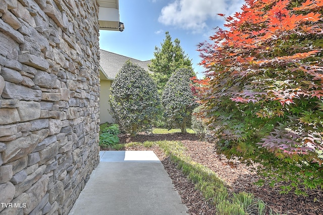 260 Dominique Ln, Greeneville, TN 37743 - view of yard