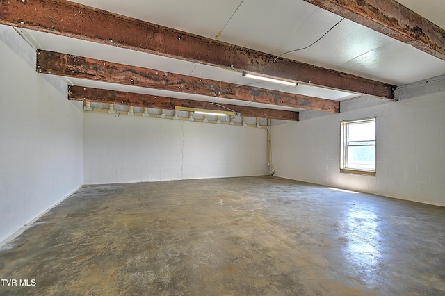 260 Dominique Ln, Greeneville, TN 37743 - garage with concrete block wall