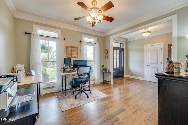 145 Grande Harbor Way, Blountville, TN 37617 - office with wood finished floors, ceiling fan, crown molding, and baseboards
