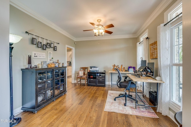 145 Grande Harbor Way, Blountville, TN 37617 - office with a ceiling fan, ornamental molding, healthy amount of natural light, wood finished floors, and baseboards