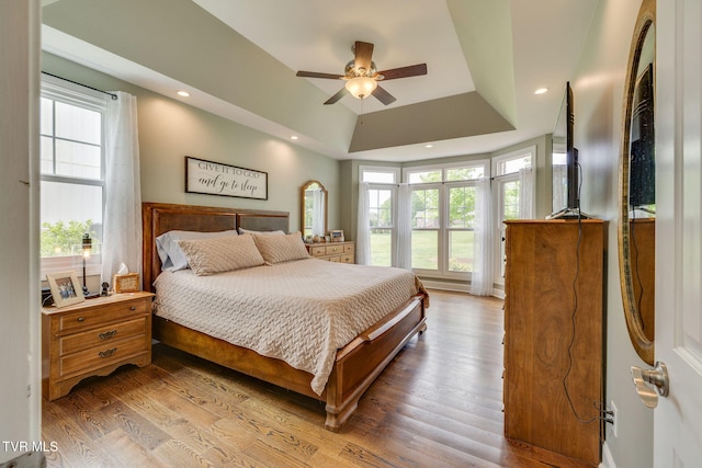 145 Grande Harbor Way, Blountville, TN 37617 - bedroom with multiple windows, a tray ceiling, wood finished floors, and recessed lighting