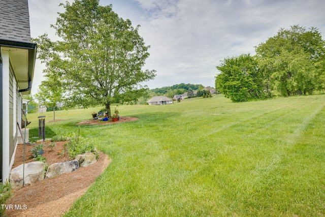 145 Grande Harbor Way, Blountville, TN 37617 - view of green lawn