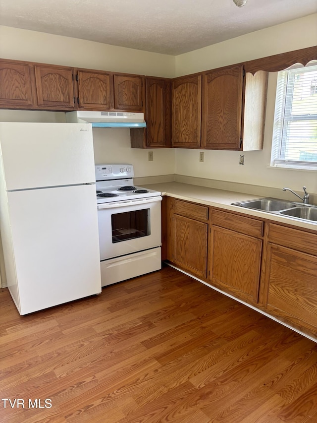 122 Kitty Cole Ln, Dungannon, VA 24245 - photo 5