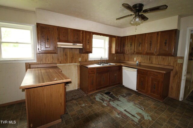 kitchen with a ceiling fan, under cabinet range hood, a sink, wood counters, and dishwasher