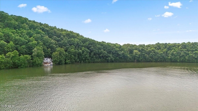 196 Furches Dr, Gray, TN 37615 - water view with a heavily wooded area