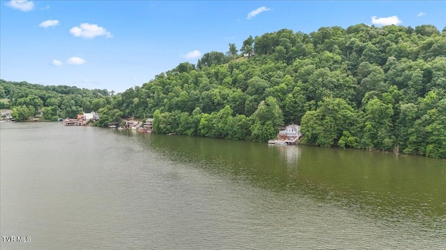 196 Furches Dr, Gray, TN 37615 - water view featuring a forest