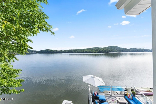196 Furches Dr, Gray, TN 37615 - water view