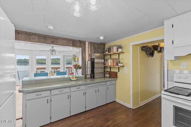 196 Furches Dr, Gray, TN 37615 - kitchen featuring white appliances, white cabinetry, dark wood-style flooring, baseboards, and a ceiling fan