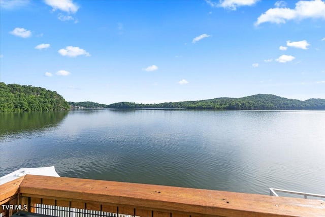196 Furches Dr, Gray, TN 37615 - water view